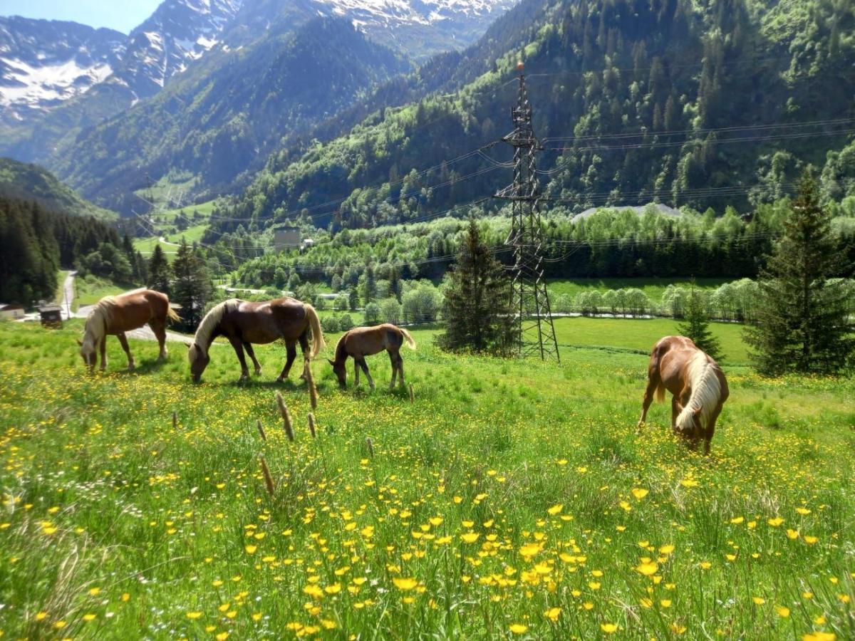 فيلا Schiederhof ميترسل المظهر الخارجي الصورة